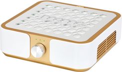 Pochłaniacz pyłu MOMO P30 60W złoty
