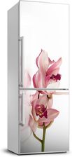 Zdjęcie Okleina na lodówkę Różowa orchidea 70x190 Tulup - Bartoszyce