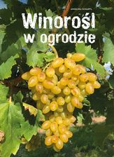Zdjęcie Winorośl w ogrodzie - Dzierżoniów