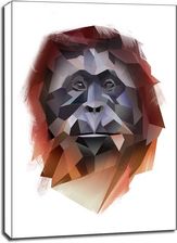 Zdjęcie obraz orangutan na płótnie 40x60 cm 8714598103419 - Orneta