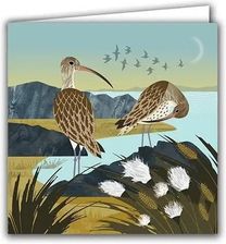 Zdjęcie Silver Birch Cards Karnet Ptaki Kuliki I Wełnianka - Osiek