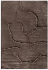 Zdjęcie EUROFIRANY Alba3 dywan Brązowy 80x150 cm 5903571878540 - Puck