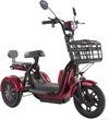 Skuter Elektryczny Trójkołowy 600W dla Seniora i Dorosłych Zasięg 40 km 30 km/h Akumulator Litowy 48V Siedzisko Pasażera Koszyk LED