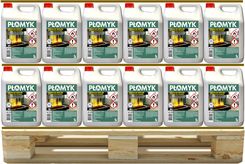 Zdjęcie Doris Płomyk Biopaliwo Do Kominków 410L 5L 82Szt. - Działdowo
