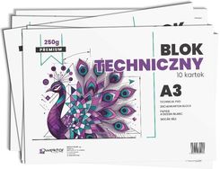 Zdjęcie Wektor Blok Techniczny A3/10K Biały Premium 250G 10Szt - Świątniki Górne