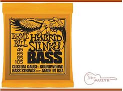 Zdjęcie Ernie Ball 2833 - Głuszyca