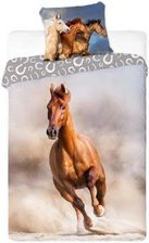 Zdjęcie POŚCIEL KOMPLET HORSES 006 GNIADY BAWEŁNA - 160x200 - Reda