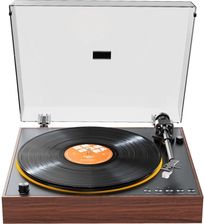 Zdjęcie Gramofon Fiio TT11 brązowo-drewniany (881964528) - Siechnice