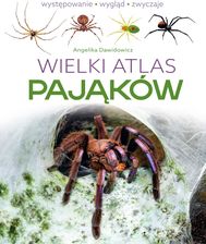 Zdjęcie Wielki atlas pająków - Angelika Dawidowicz - Dębica