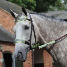 Zdjęcie Zestaw 4 pasków odblaskowych Weatherbeeta - Luboń