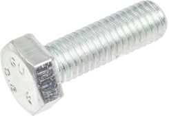 Zdjęcie Cedrus Parts Śruba Cedrus Zagęszczarka Cedzg07 132123 - Kościan