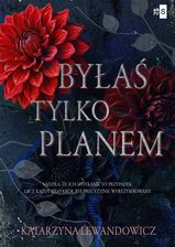 Zdjęcie Byłaś tylko planem - Katarzyna Lewandowicz - Buk