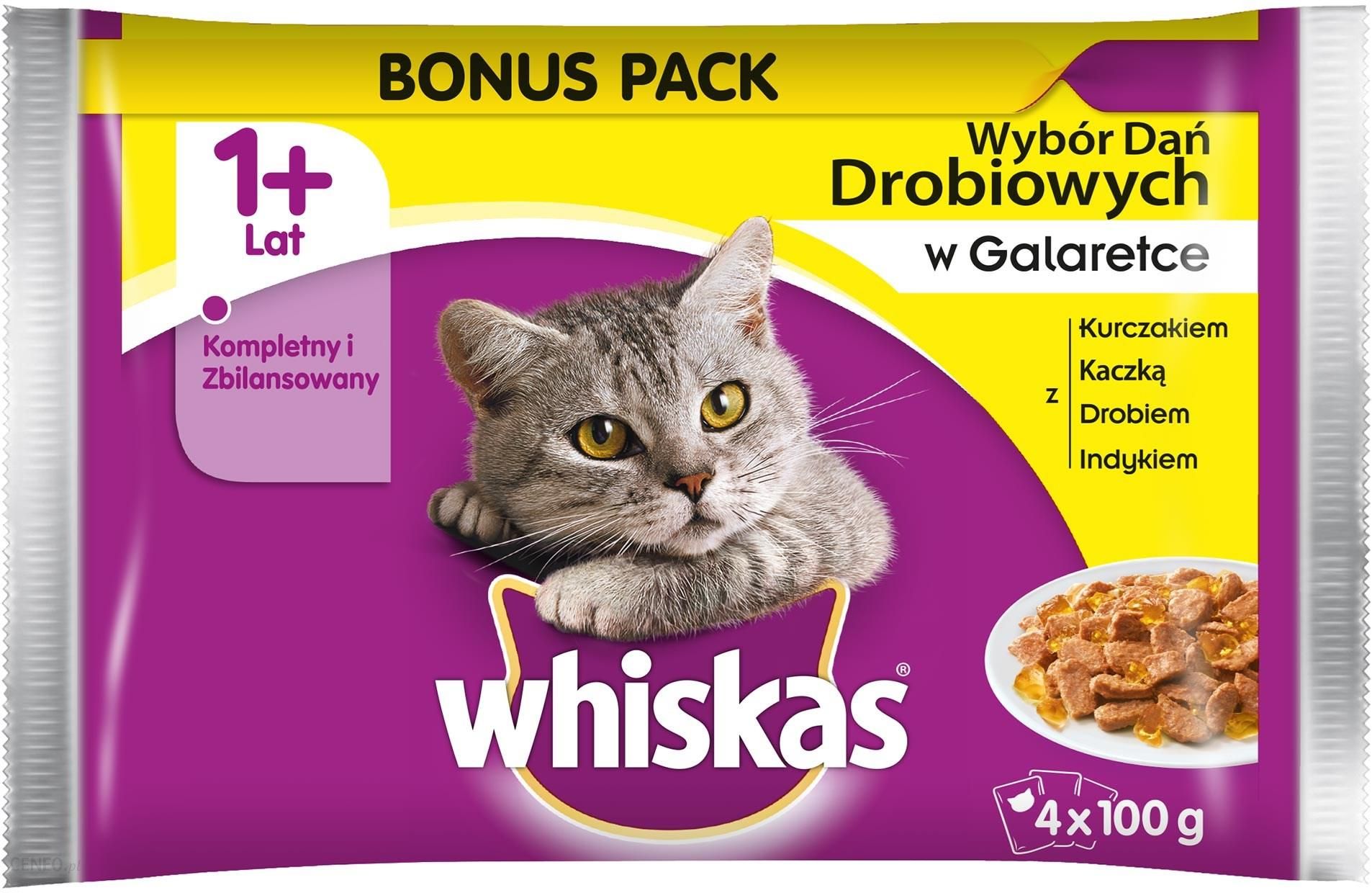 Влажный корм для кошек 12. Вискас консервы для котят. Вискас для кошек влажный. Whiskas набор для котят. Вискас влажный корм.