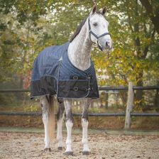 Zdjęcie Derka dla konia QHP Collection 150 g - Knyszyn