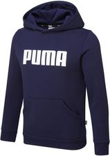 Zdjęcie Bluza z kapturem Puma ESS FL 84759602 - Lidzbark Warmiński