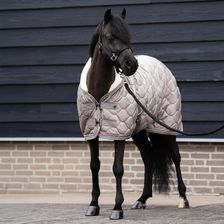 Zdjęcie Imperial Riding Derka Stajenna Dla Koni Bandit 0G - Żmigród