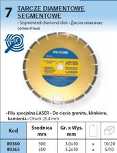 Zdjęcie PROLINE TARCzA DIAMENTOWA SEGMENTOWA śREDNICA 300mm 89360 - Wolin