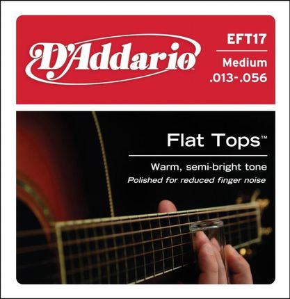 D'Addario EFT17