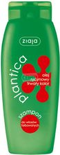 FANOLA No yellow szampon 350ml