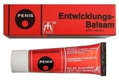 Penis Entwicklungs