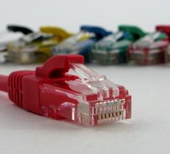 Netrack kabel krosowy RJ45. osłonka zalewana. kat. 5e UTP. 0.5m czerwony (BzPAT05UR)