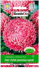 Zdjęcie Plantico Aster peoniowy Jadwiga 1g - Janikowo