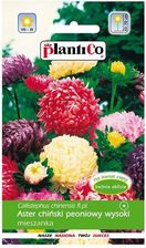Zdjęcie Plantico Aster peoniowy Mix 1g - Leśnica