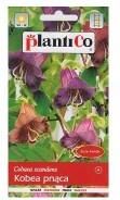 Zdjęcie Plantico Kobea Pnąca Fioletowa 0,5g - Łosice