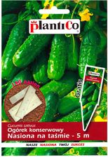 Zdjęcie Plantico Ogórek Prymus Taśma - Środa Śląska
