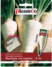 Zdjęcie Plantico Pietruszka Na Taśmie - Aleksandrów Kujawski