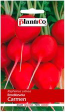 Zdjęcie Plantico Rzodkiewka Carmen 10g - Łosice