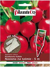 Zdjęcie Plantico Rzodkiewka Ramona Taśma - Mosina