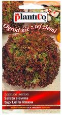 Zdjęcie Plantico Sałata Liściasta Lollo Rossa - Krobia