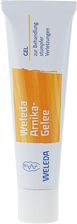 Weleda Arnika Balsam
