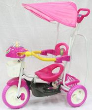 Zdjęcie Skan Rower Trójkołowy Ro120003R Różowy - Przedecz