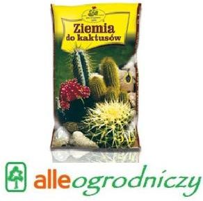 monstera geschlossene bltter Fensterblatt (Monstera deliciosa) kaufen