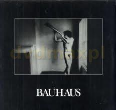 Bauhaus - In The Flat Field - Remastered (Winyl)