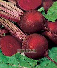 Zdjęcie Torseed Burak ćw. Czerwona Kula 15g - Parczew