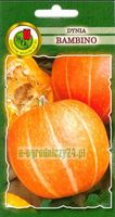 Zdjęcie PNOS Ożarów Dynia olbrzymia Bambino 5g 15-50kg - Karczew