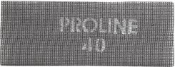 Zdjęcie PROLINE SIATKA śCIERNA ROzMIAR 290x105 mm 61808 - Wrocław