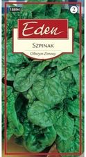 Zdjęcie Szpinak Olbrzym Zimowy Eden 20g - Wrocław