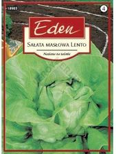 Zdjęcie Sałata Masłowa Lento Eden - Dobre Miasto