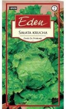 Zdjęcie Sałata Krucha Doree De Printepms Eden - Olkusz