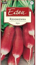 Zdjęcie Rzodkiewka Warta Eden - Dobre Miasto