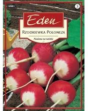 Zdjęcie Rzodkiewka Poloneza Eden - Jelenia Góra