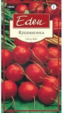 Zdjęcie Rzodkiewka Cherry Belle Eden - Olkusz