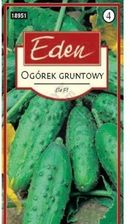 Zdjęcie Ogórek Gruntowy Ela F1 Eden - Wolsztyn