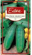Zdjęcie Ogórek Eva Warzywa Eden - Olkusz