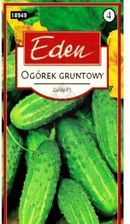 Zdjęcie Ogorek Gruntowy Dalila F1 Eden - Sejny