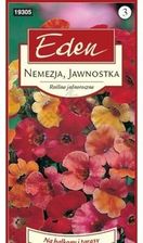 Zdjęcie Nemezja Karneval Mieszanka Eden - Torzym